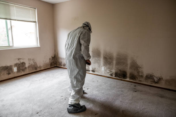 Best Industrial Mold Remediation  in White Marsh, MD